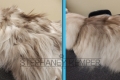 st-louis-cat-groomer-stephaney-kemper-ragdoll-grooming-2